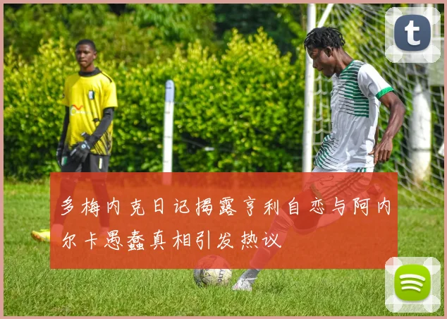 多梅内克日记揭露亨利自恋与阿内尔卡愚蠢真相引发热议